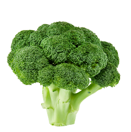 broccolo